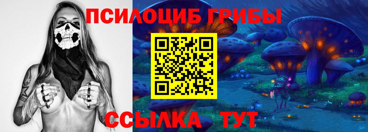 Самара  Галлюциногенные грибы GOLDEN TEACHER  Галлюциногенные грибы GOLDEN TEACHER  Вход с VPN 